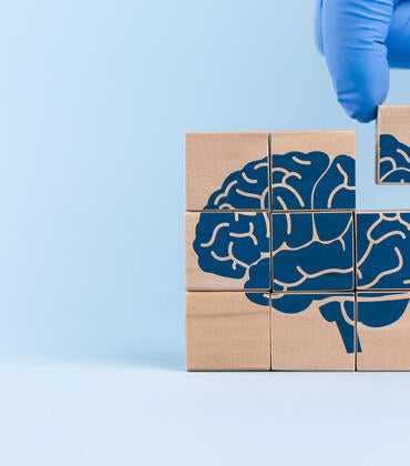 Brain puzzle getting a missing piece