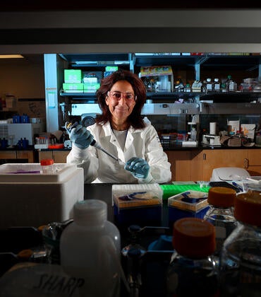 Karine Le Roch in the lab
