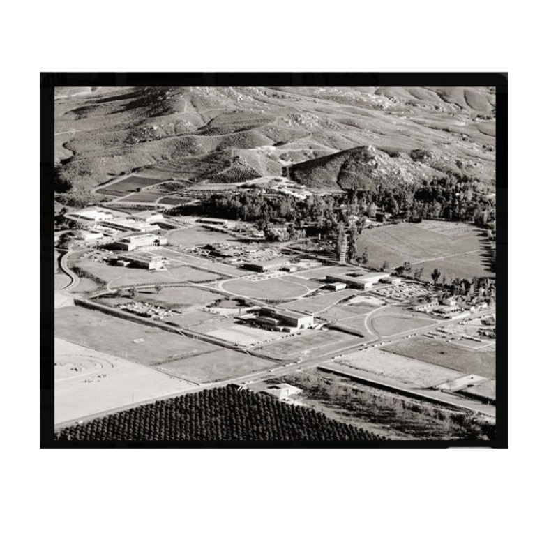 Aerial black and white image of UCR in 1954.