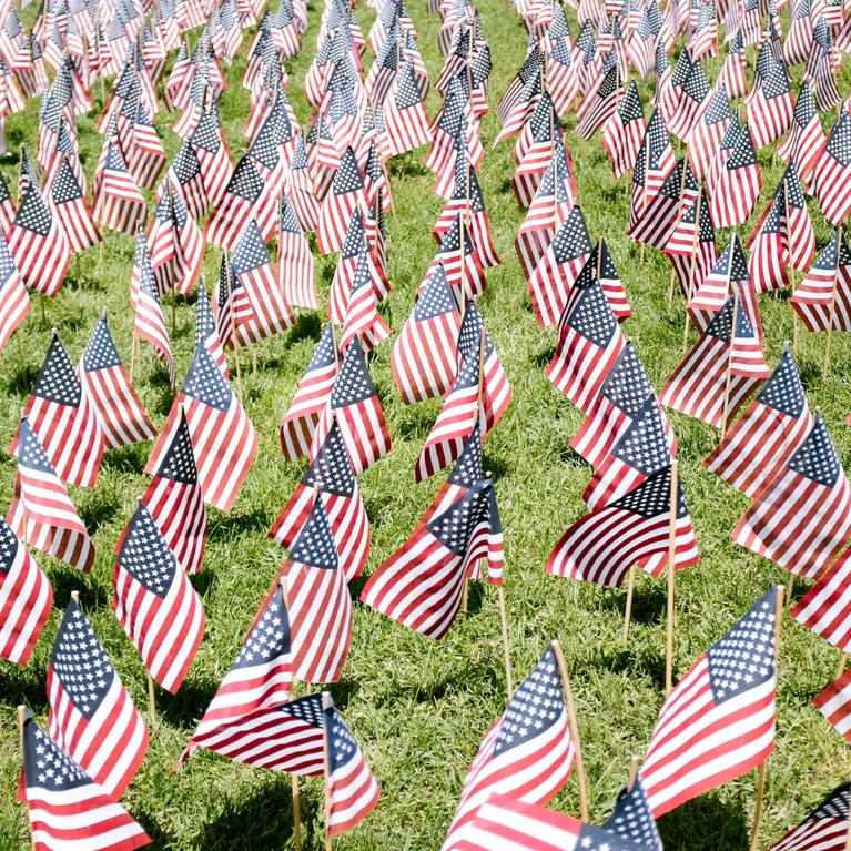 Several small U.S. flags in grass