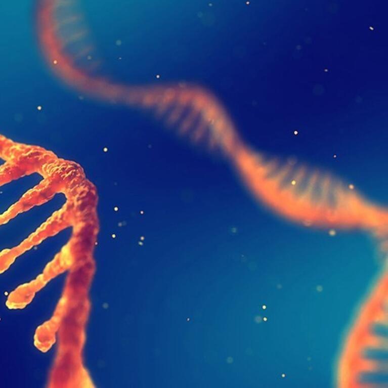 RNA