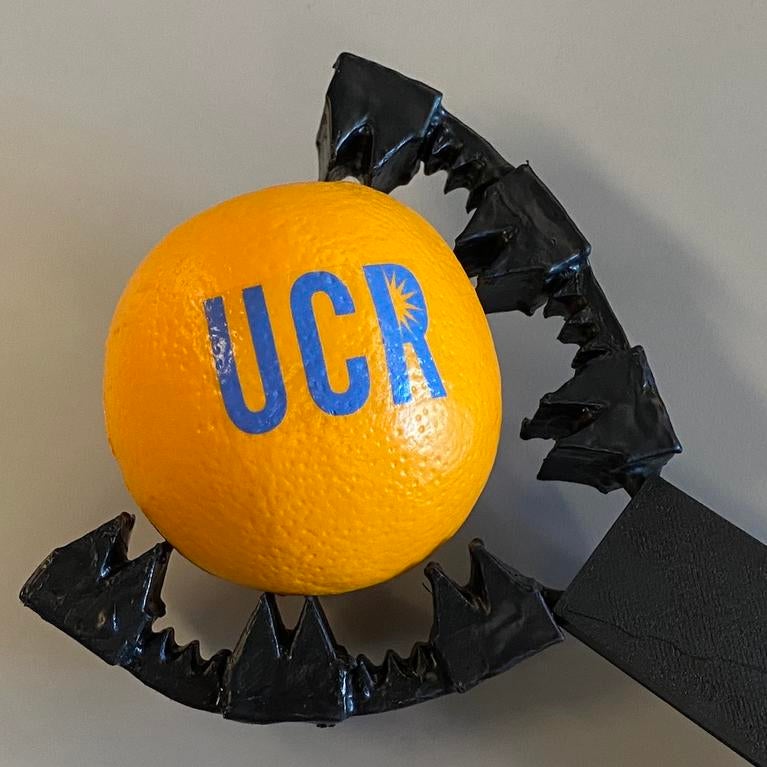 A soft robotic hand grips an orange with the UCR logo