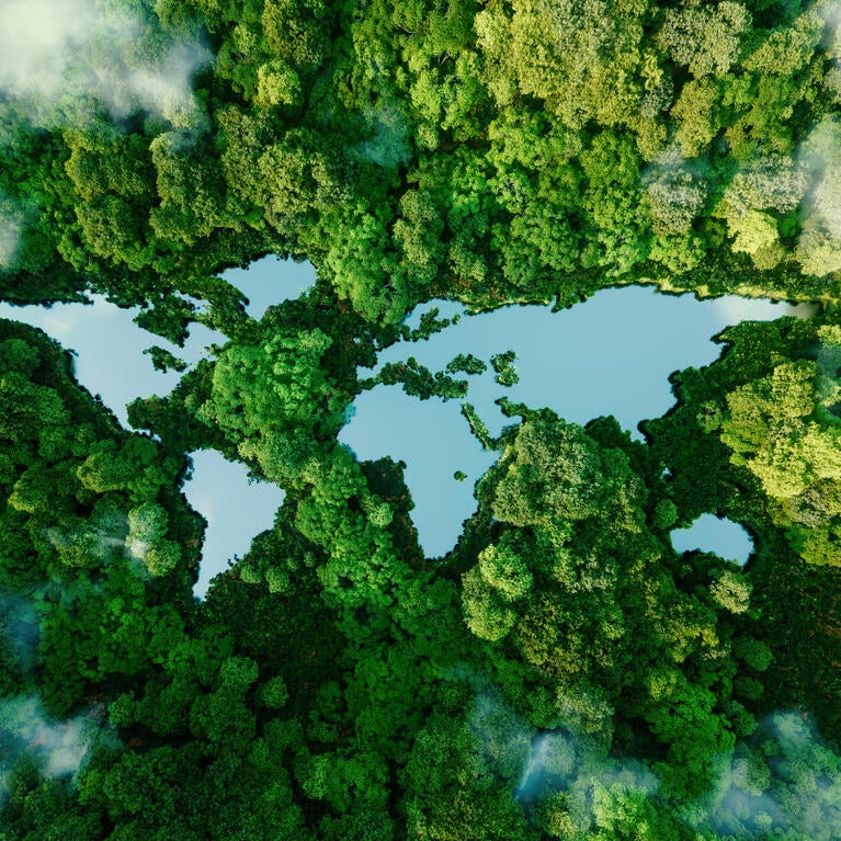 An artist illustration of a world map among a forest backdrop.