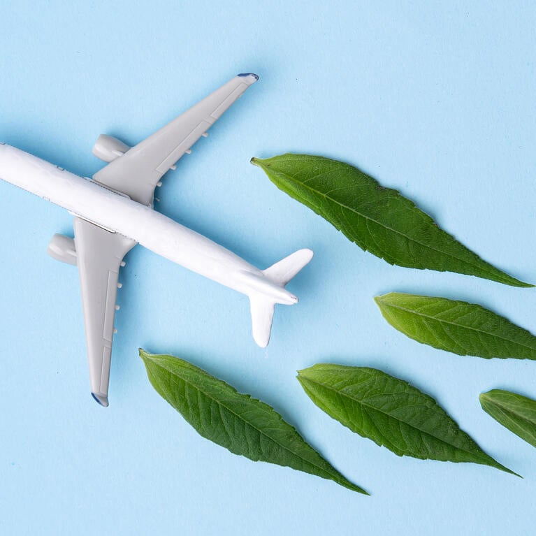 plane and leaves