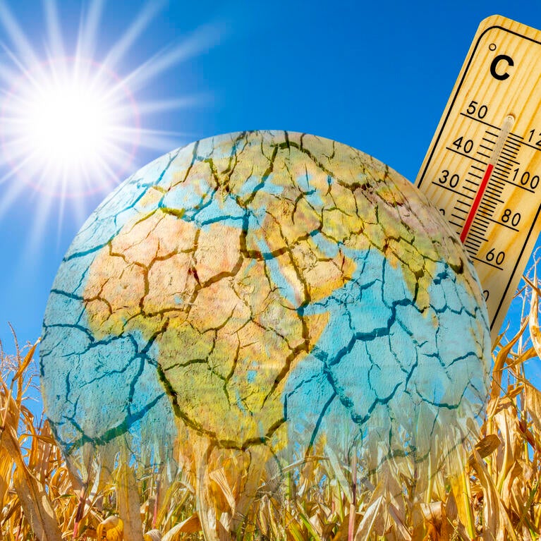 An artistic illustration showing a warming planet Earth and a thermometer.