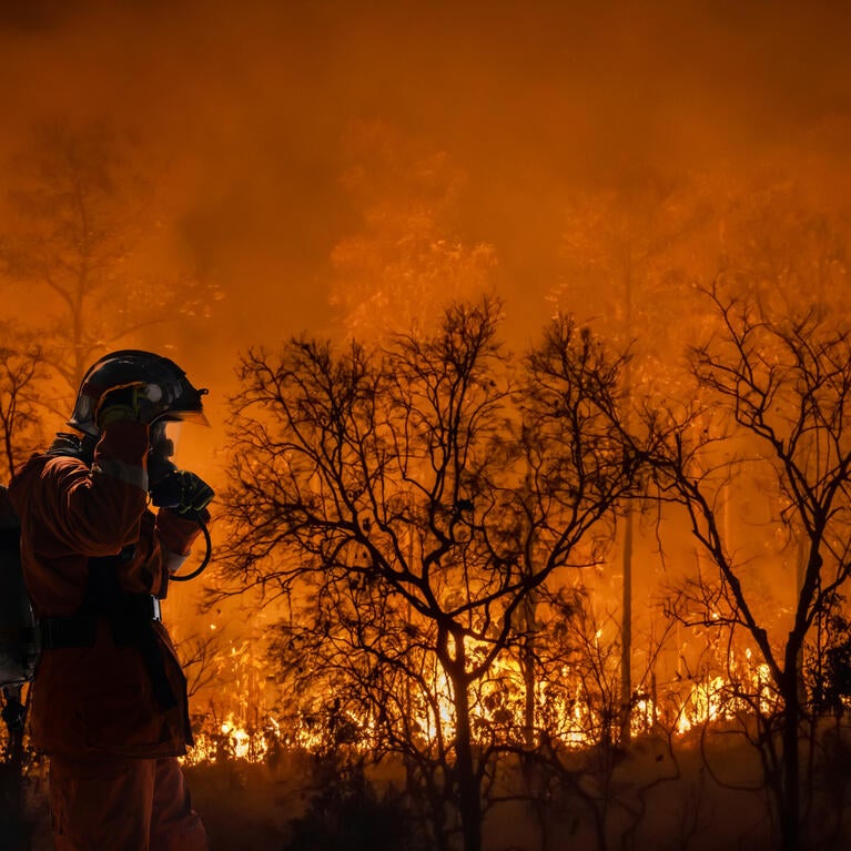 firefighter and wildfire