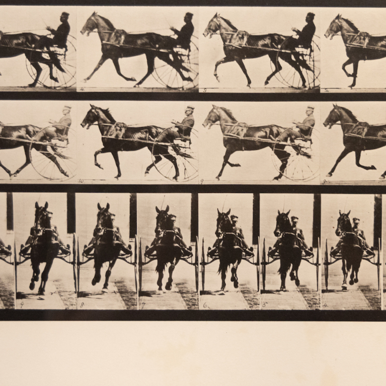 Photograph by Eadweard Muybridge “Animal Locomotion” on display in the exhibit Movement Exercises (After Muybridge) at UCR Arts, California Museum of Photography, running from March 2-July 7, 2024.  (UCR/Stan Lim)