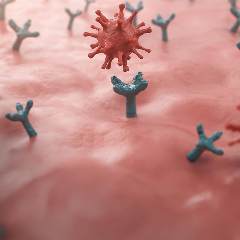 3D Covid-19 Delta Variant Binds with ACE2 Receptor