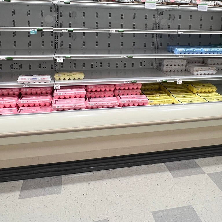 egg shortages