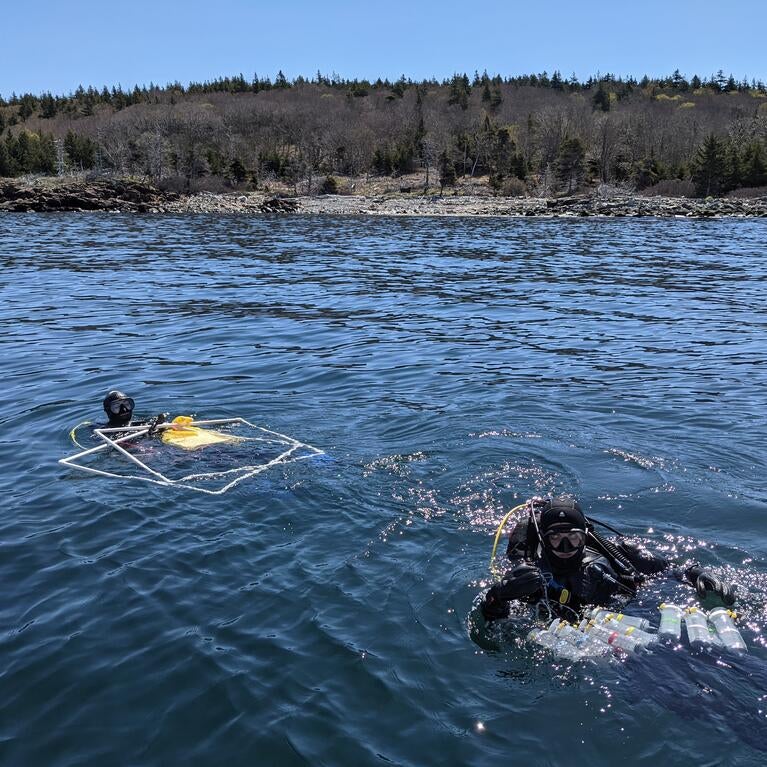 Coastal reef survey
