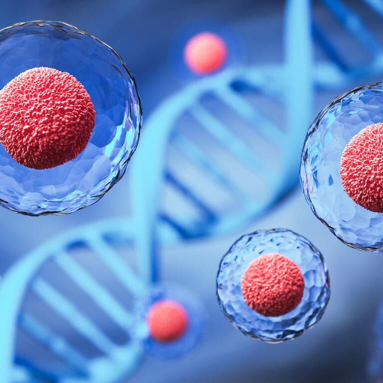 Stem cells