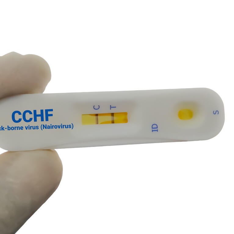 CCHFV
