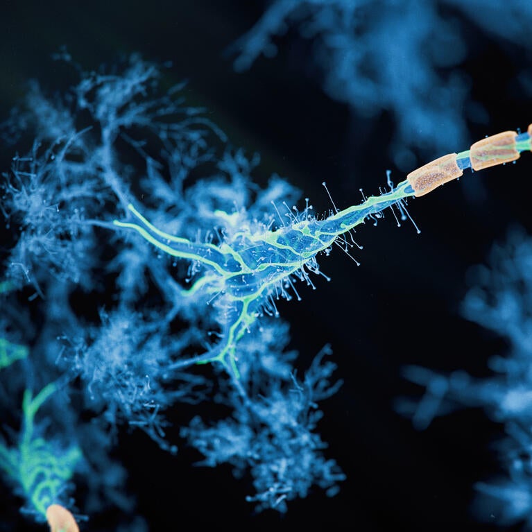 Firing neuron