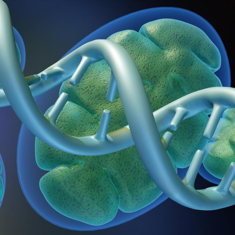 A 3d rendering of a mitochondrion and DNA helix