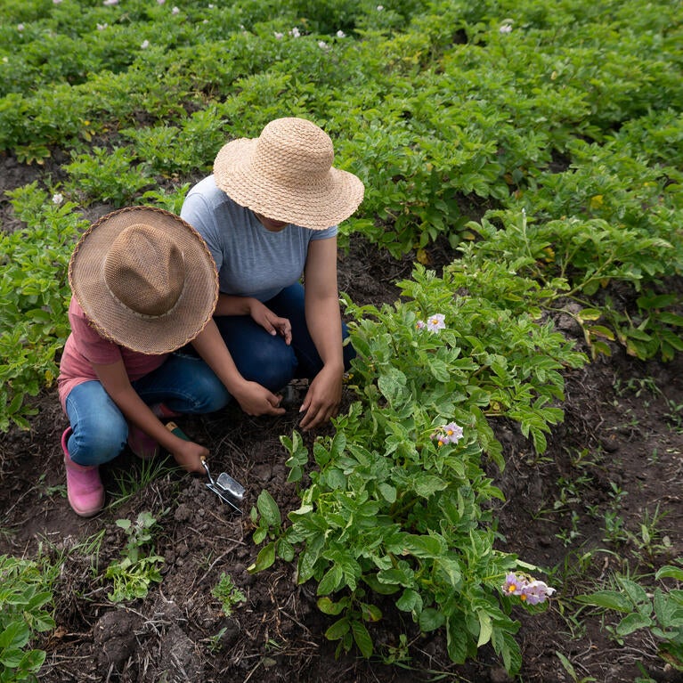 Mother and daughter harvesting the land