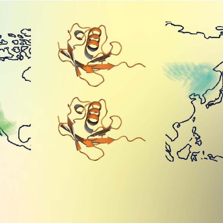 Emerging tick-borne viruses