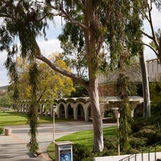 A view of the bell tower lawn on campus