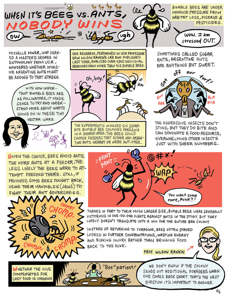 When it’s bees vs. ants, nobody wins comic