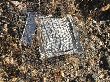 Microbial cages like the one shown in this picture were used to study how efficiently microbes from different climates can recycle plant material.