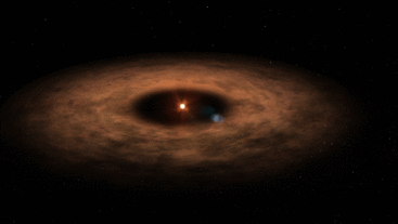 The AU Mic star system