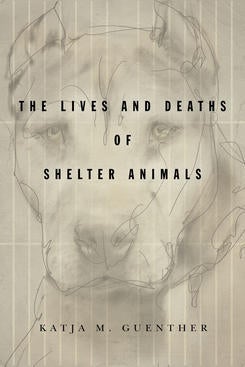 Cover of Katja M. Guenther's book The Lives and Deaths of Shelter Animals
