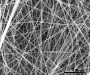 Scanning electron microscope image of nanomaterial for energy storage made from recycled plastic bottles