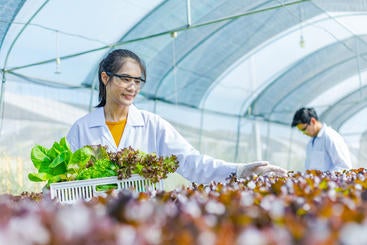 researcher in greenhouse