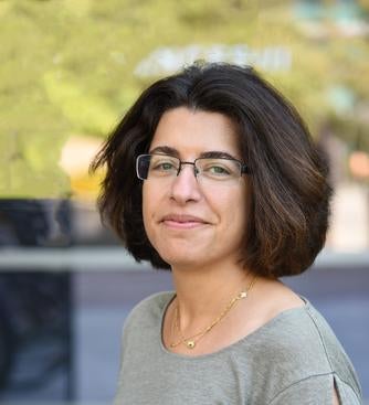 Professor Roya Bahreini