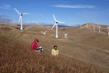 plant ecologists in the field