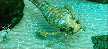 Ancient sea scorpion
