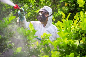 pesticide spray