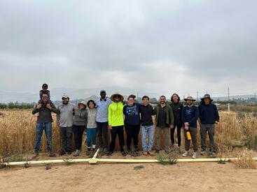 Barley researchers in the field