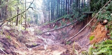 debris flow