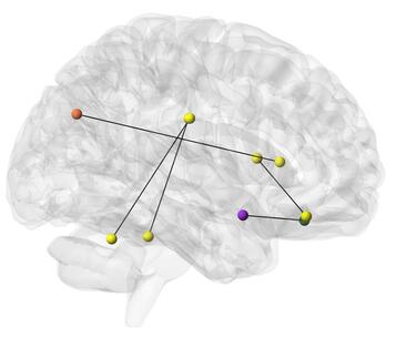 brain regions predictive of strength