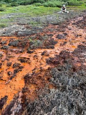 Rusty rivers in the Alaskan Brooks Range