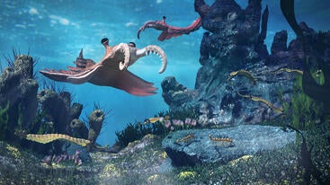 Cambrian period sea creatures 