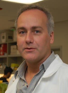 Marcus Kaul
