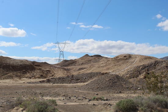 OHVs have destroyed the habitat in Moldenke's original sampling site.