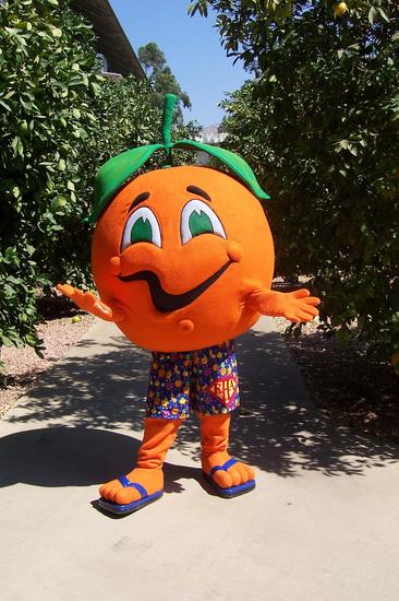 Norm T. Navel Norm T. Navel