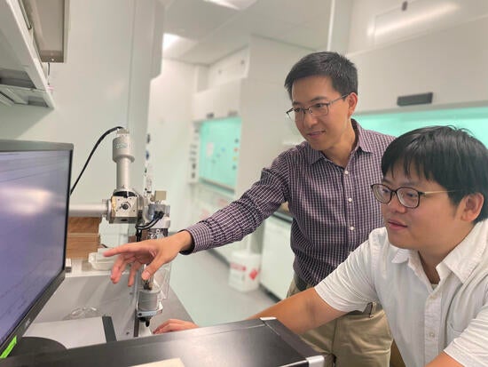 Linlin Zhao and Yu Hsuan Chen