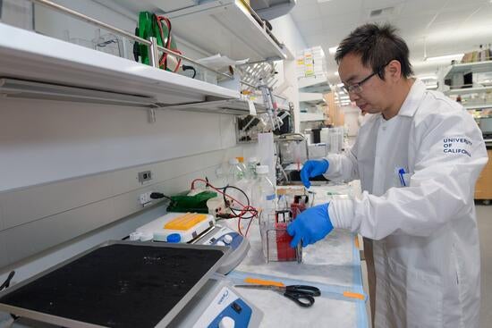 Xiuchun Li in the lab
