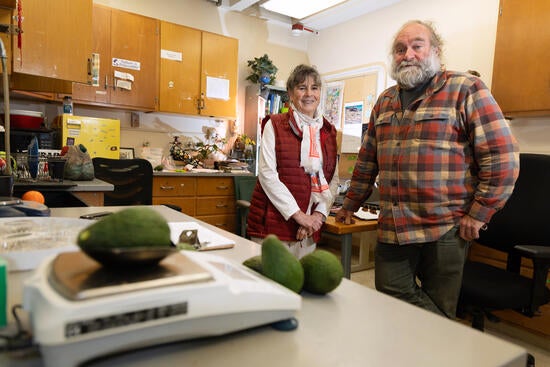 Luna UCR avocado co-inventors Eric Focht and Mary Lu Arpaia in an office