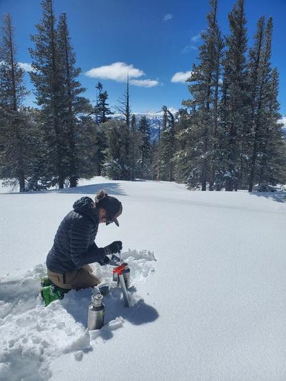 Aleksandra Karapetrova sampling fresh Sierra snowfall