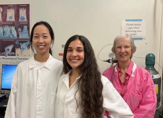 Ann Song Cori Zuvia and Prue Talbot