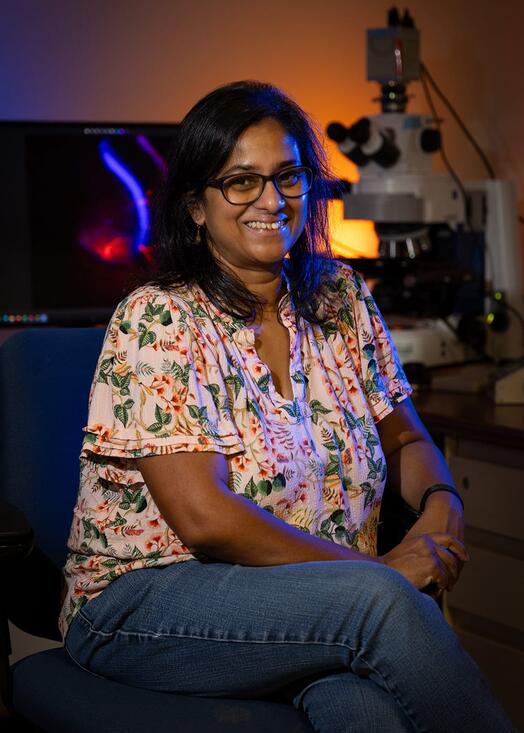 Viji Santhakumar is building research collaborations to investigate how brain injury may accelerate Alzheimer’s progression.