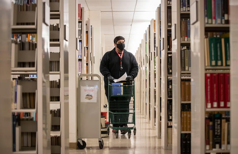 Raul Aguilera, access services assistant, searches for requested material on Friday, October 30, 2020 at the UC Riverside Tomás Rivera Library. During the pandemic UCR Library is offering a contact-free curbside delivery for their students, faculty, and staff.  (UCR/Stan Lim)