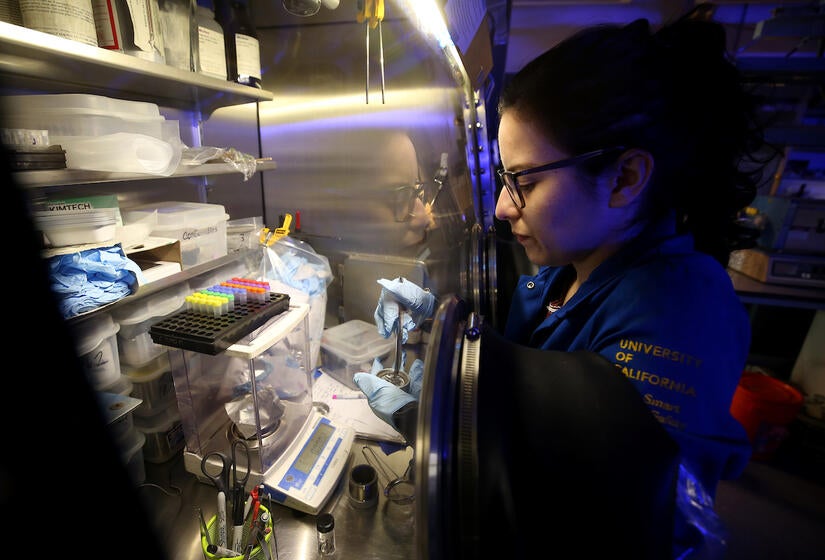 A UC Riverside student conducting research in 2019. (UCR/Stan Lim)