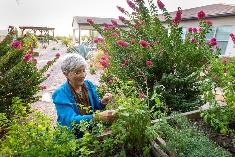 Katayoon "Katie" Dehesh talks about her love for life, plants, and teaching. Her Riverside home has a garden that includes herbs, shrubs, and trees that remind her both of Iran and her journey in the United States. Photo taken on November 13, 2023. (UCR/Stan Lim)