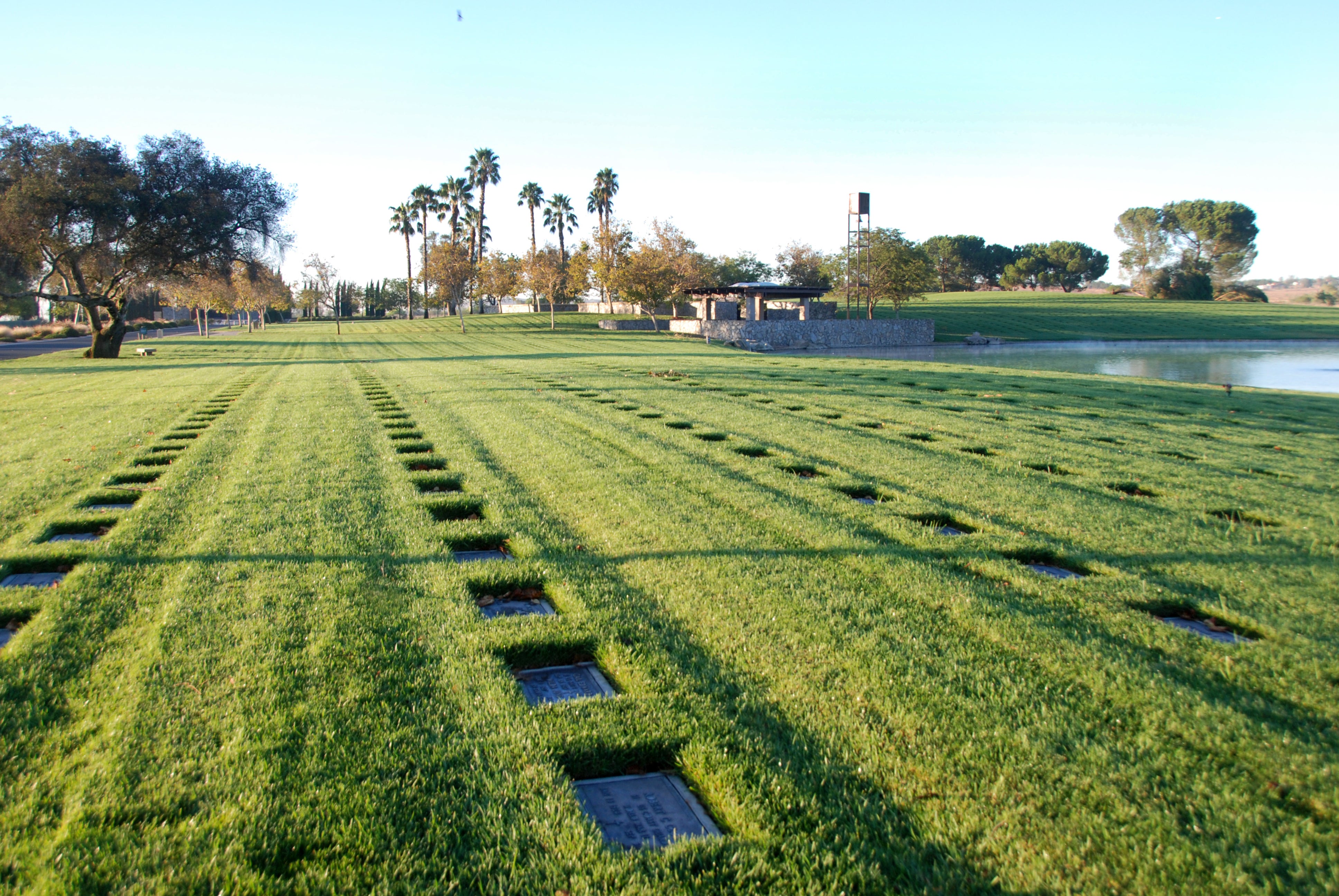 Describe the scene from your position on the bank of a river picture