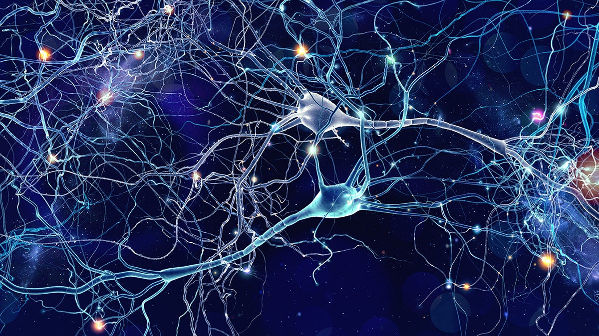 Nöroplastisite: Beyni Yeniden Şekillendirmek Mümkün mü?